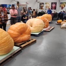 State Fair 2024