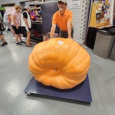 Steve Strickler 795#