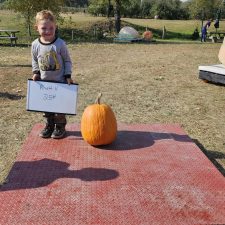 Rhett Hodge 25# field pumpkin