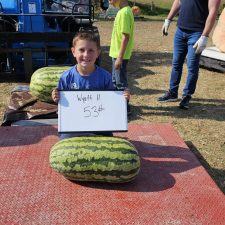 Wyatt Hodge 53# watermelon