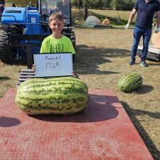 Maverick Hodge 172# watermelon