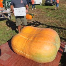 Craig Smith 586 lb Greenfield, IN