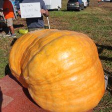 Craig Smith 1057 lb Greenfield, IN