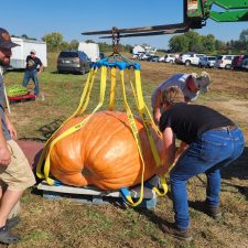Hodge Family Farm 2025