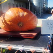 Jim Beal 908# Laotto, IN