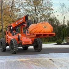 2,054 Pumpkin drop 2,054 Pumpkin drop